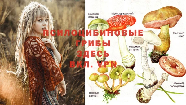 кокаин перу Семёнов
